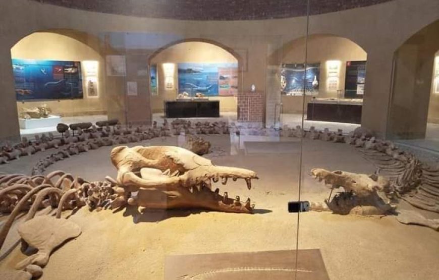 Private Day Tour to Whales Valley and Wadi El Rayan Waterfalls in El Fayoum from Cairo