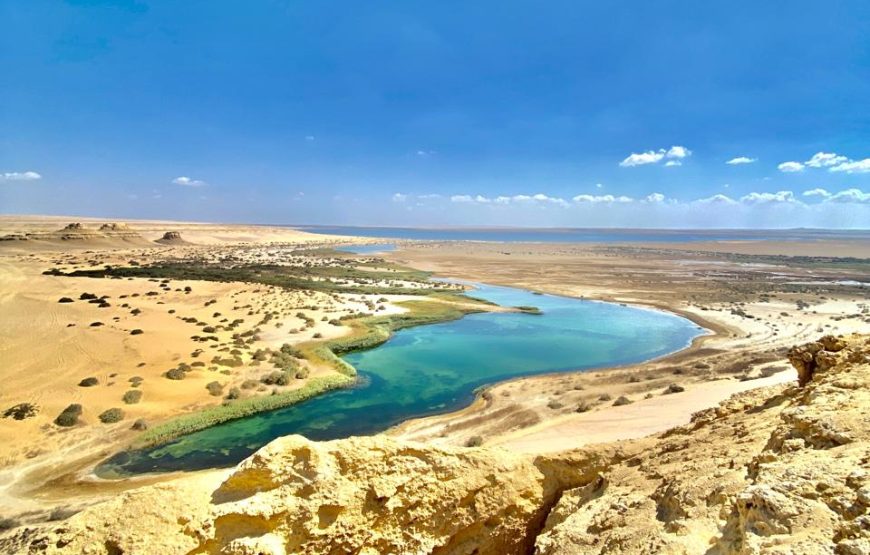 Private Day Tour to Whales Valley and Wadi El Rayan Waterfalls in El Fayoum from Cairo