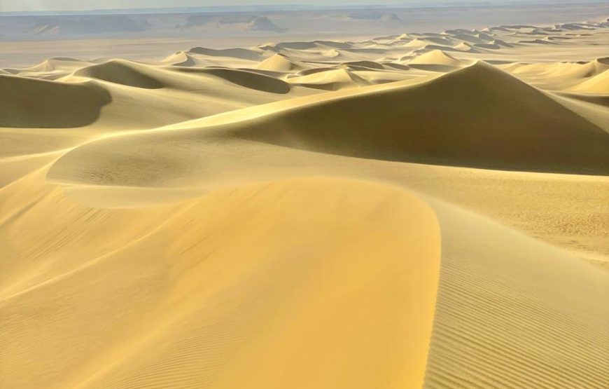 Private Day Tour to Whales Valley and Wadi El Rayan Waterfalls in El Fayoum from Cairo